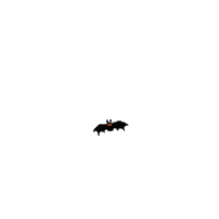 a silhouette of a bat with orange eyes