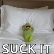 kermit the frog is sitting on a bed with the words suck it written below him