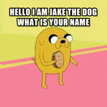 Sneezepilled Jake The Dog GIF - Sneezepilled Jake The Dog Adventure Time GIFs