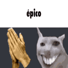 Epico Cat GIF - Epico Epic Cat GIFs