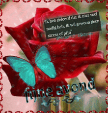 a picture of a red rose with a blue butterfly and the words fijne avond