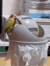 Parrot Spin GIF - Parrot Spin Birb GIFs