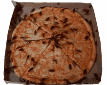 bugs pizza