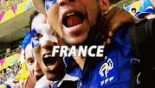 France GIF - France Euro2016 GIFs