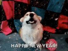 Happy Holidays Happy New Year GIF - Happy Holidays Happy New Year New Years Eve GIFs
