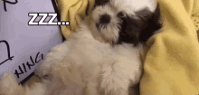 This Is Me In A Normal Day The Real Paningning GIF