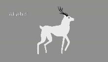 Deer GIF - Deer GIFs
