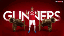 Arsenal Gunners GIF - Arsenal Gunners GIFs