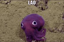 Lao Buss Forever GIF - Lao Buss Forever Lao Octopus GIFs