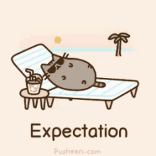 Pusheen Expectation GIF - Pusheen Expectation GIFs