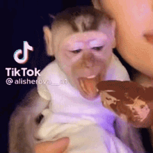 Nicesnupi Monkey GIF - Nicesnupi Monkey Monkeys GIFs