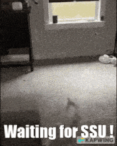 Waiting For Ssu Skull GIF - Waiting For Ssu Skull Ssu GIFs