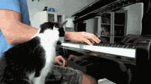 I Wantz Pet GIF - Petting Piano Cat GIFs