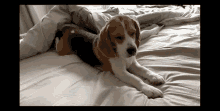 Tired Monday GIF - Tired Monday Morning GIFs