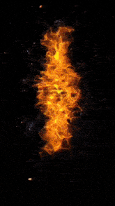 a logo for the amf community is surrounded by fire