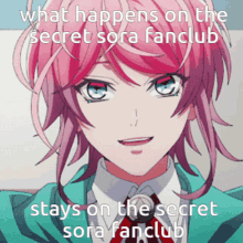 Secret Sora Fanclub Secret GIF - Secret Sora Fanclub Secret Sora GIFs