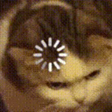 Reload Cat GIF - Reload Cat Loading GIFs
