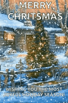 Christmas Snow GIF - Christmas Snow Christmas Tree GIFs