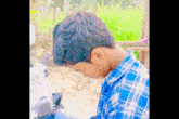 a young boy in a blue and white plaid shirt looks down at something