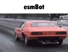Esm Bot Discord GIF - Esm Bot Discord Based GIFs