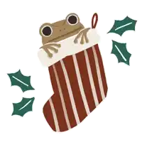 an illustration of a frog in a striped christmas stocking