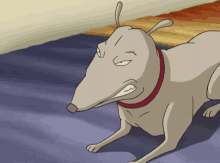 code lyoko kiwi dog animated grunt