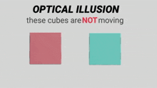optical illusion these cubes are not moving is written on a white background