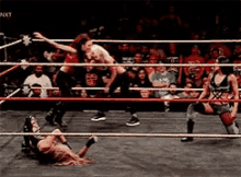 a group of women are wrestling in a ring with the word next on the bottom right