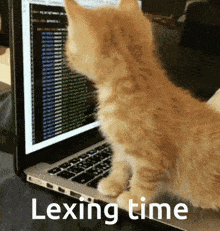 Lexing Parsing GIF - Lexing Parsing Programming GIFs