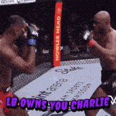 two men are fighting in a boxing ring with a sign that says howler head