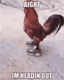 Aight Heading Out GIF - Aight Heading Out Chicken GIFs
