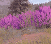 a cartoon character standing in a field of purple flowers .