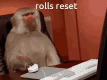 Mudae Rolls GIF - Mudae Rolls Monkey GIFs