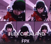 Cacaland GIF - Cacaland GIFs