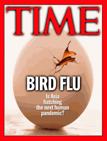 Bird Flu Meme GIF - Bird Flu Meme Time GIFs