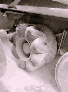 gif pet curled up tire car tire