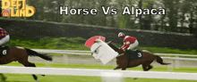 Defiland Horse Race GIF - Defiland Horse Race Dream Alpaca GIFs