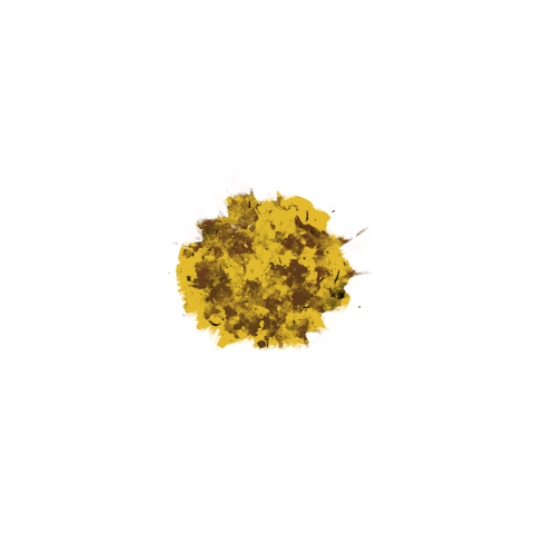 White White Flower Sticker