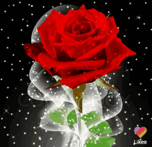 Rose Day GIF - Rose Day Images GIFs
