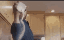 GIF