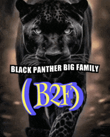 Blackpanther B2f GIF - Blackpanther Panther B2f GIFs