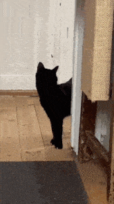 a black cat standing in a doorway looking at something