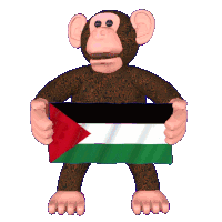 Palestine Flag Palestine Sticker Sticker