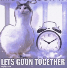 a cat is sitting next to an alarm clock in the clouds .