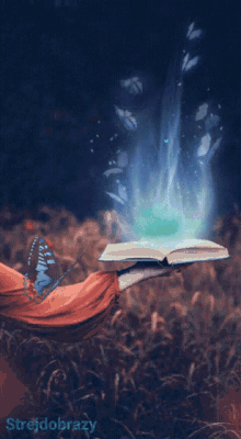 strejdobrazy sparkle book butterfly glow