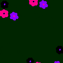 a black background with pink and purple flowers and the words " i 'm sorry "