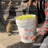 The Food Is Here Viralhog GIF - The Food Is Here Viralhog Time To Eat GIFs