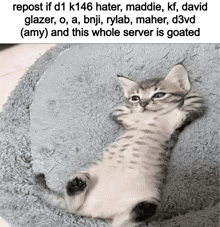 a kitten laying on its back on a blanket