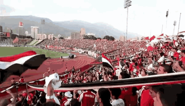 Caracas Caracasfc GIF - Caracas Caracasfc Celebration - Discover & Share  GIFs