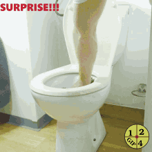 Surprise Roses GIF - Surprise Roses Toilet GIFs